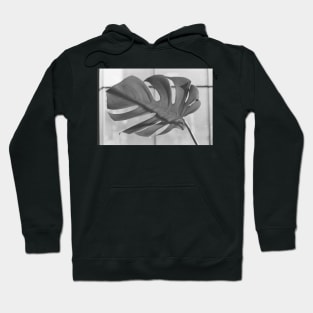 Monstera Deliciosa 35mm Hoodie